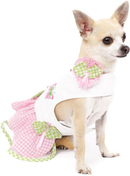 UP BUTTERFLY Kleid, Kappe, Leine, Geschirr (Set)