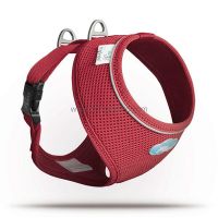 CU CURLI BASIC GESCHIRR AIR-MESH CU CURLI BASIC GESCHIRR AIR-MESH