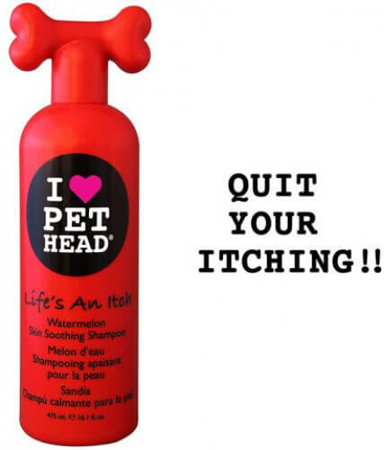 PET HEAD LIFES AN ITCH Shampoo (475 ml)