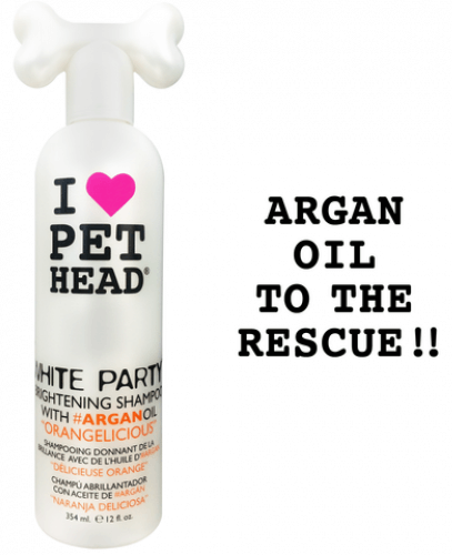 PET HEAD WHITE PARTY Shampoo (354 ml)