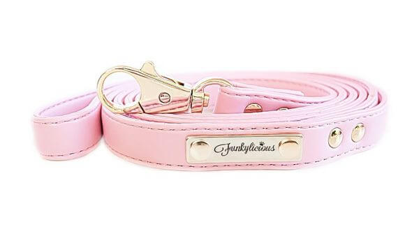 FL NEW PINK Leine