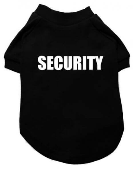 UP SECURITY T-Shirt