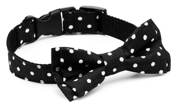 CH Bow Tie Classic Halsband schwarz