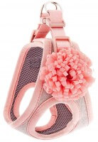 FB BELLA Geschirr FB BELLA Geschirr